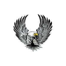 Stickerset Eagles - 2x 15x14,5cm