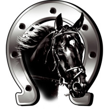 Sticker Horse + Horseshoe - 6x7cm