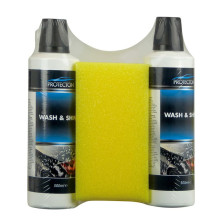Protecton Wash & shine set 2x 500ml met spons